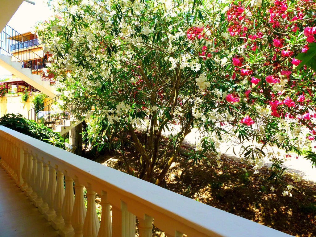 Vania Gardenos Apartment *